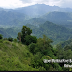 Groups oppose construction of P12-B mega dam inside Kaliwa forest reserve