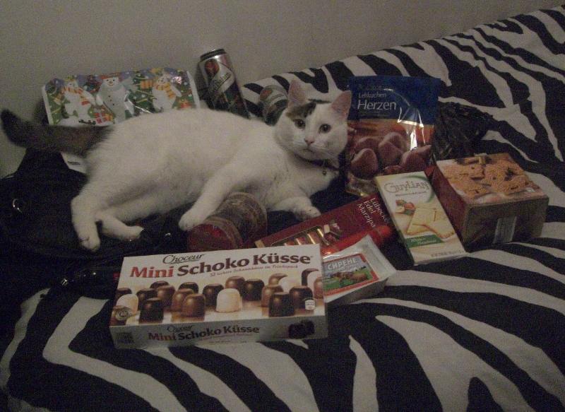 Kedi Süpürgesi Dışişleri Kermesi ve Alman Okulu Yılbaşı Pazarı