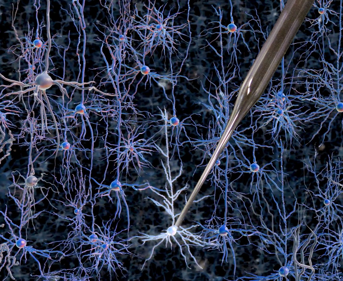 Как создать нейронную связь. Клетки головного мозга. Нейроны. Нервная клетка. Нейроны мозга.