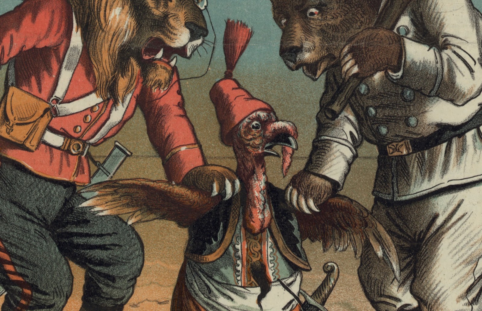 How Did the Turkey Get Its Name?