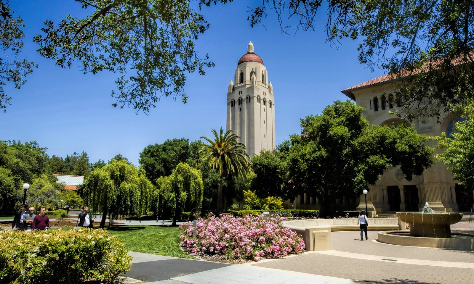 Stanford University | HD Wallpapers (High Definition) | Free Background