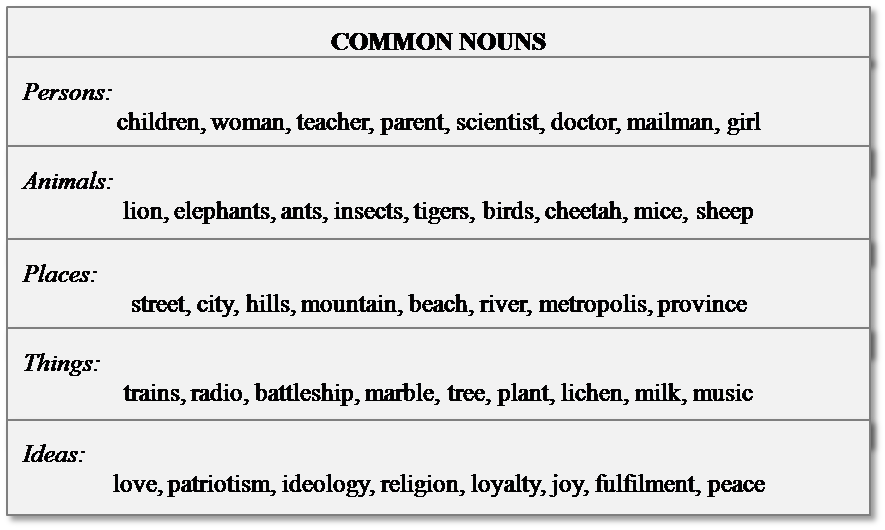 Common form. Common Nouns. Common Nouns примеры. Noun примеры. Common Nouns examples.