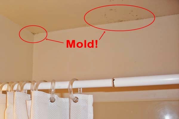 sign+of+mold+in+house