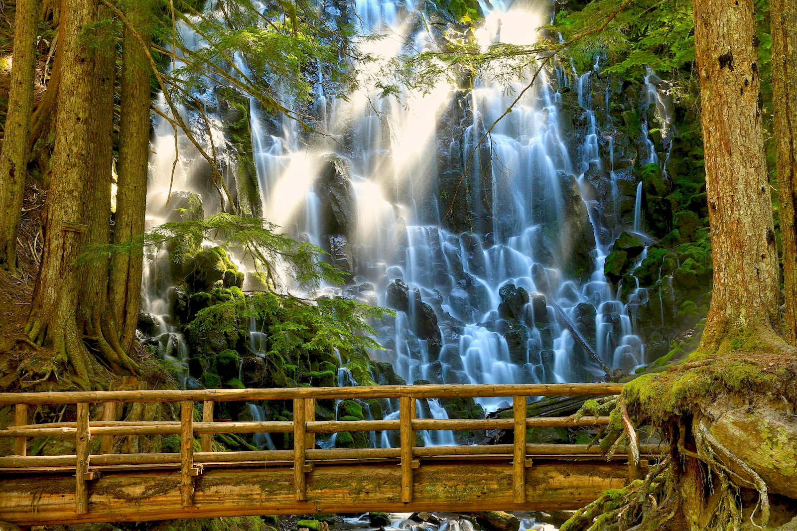 Banco de Imágenes Gratis: 33 fotografías de cascadas con hermosos paisajes  naturales