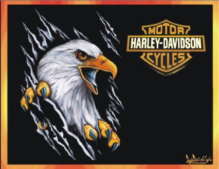 Harley Davidson Motorcycle: Harley Davidson Logo
