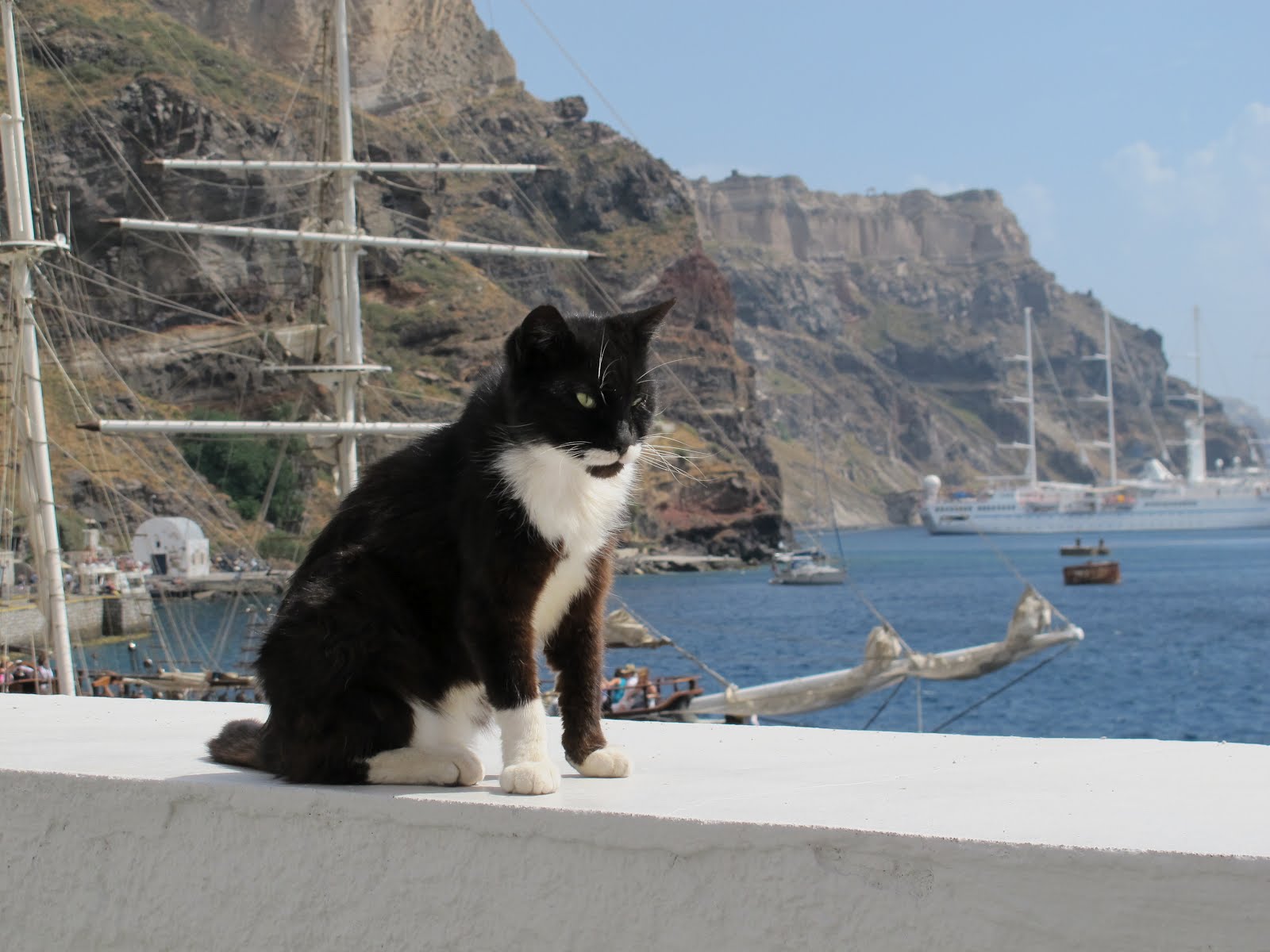 Naomi The Traveler Seeing Cats In Greece, 2011