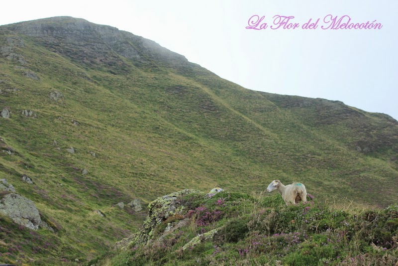 Col de Burdincurutcheta