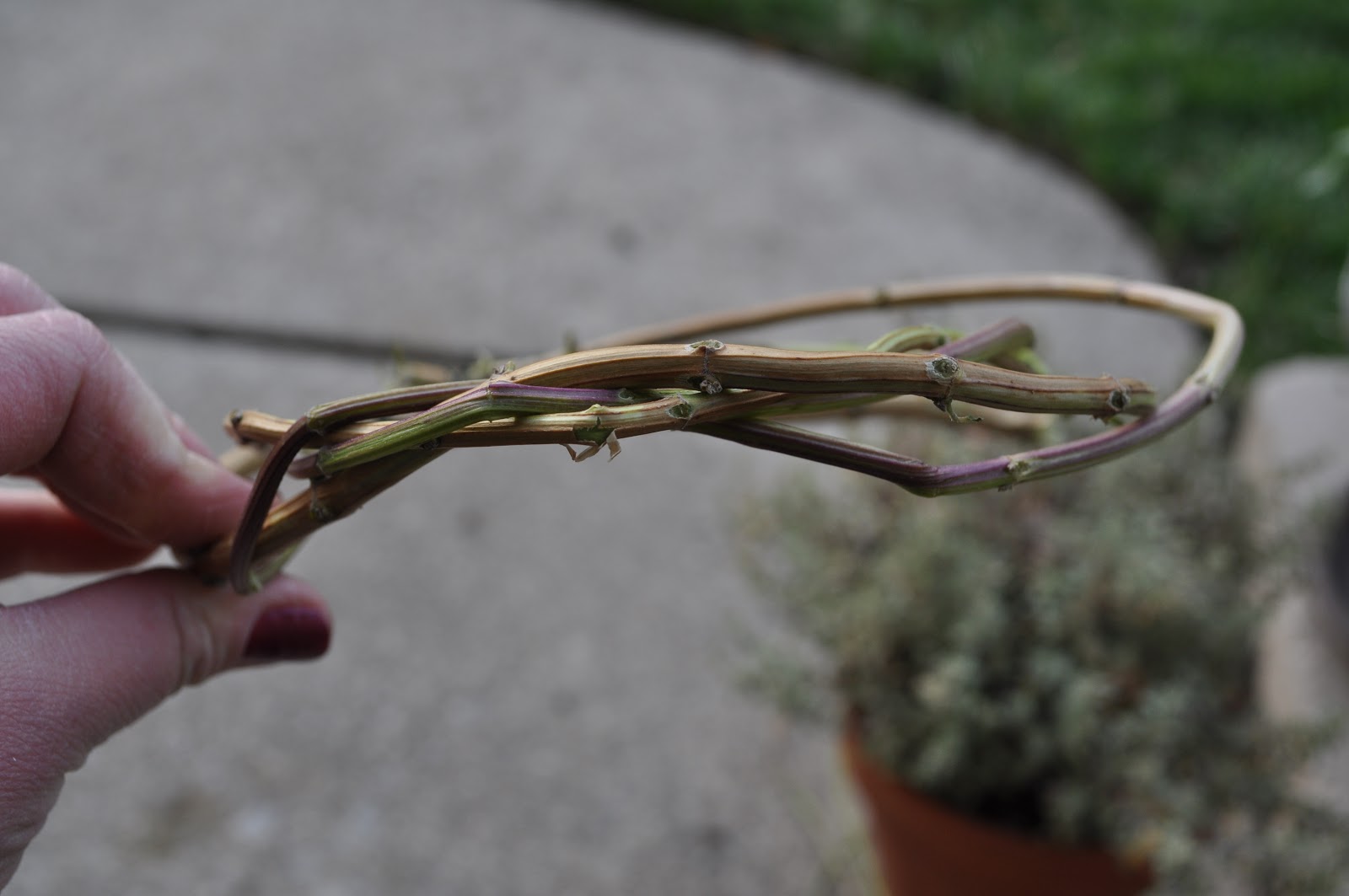 Just So Lovely: Crown of Thorns Tree Topper