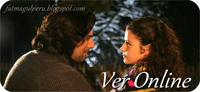 Ver Novela Fatmagul Capitulo 207