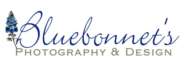 Bluebonnet's Photography and Design