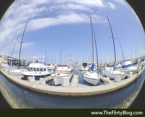 Monterey Harbor, Boats