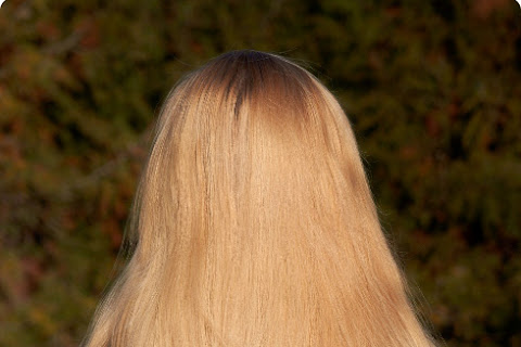 Moje włosy - listopad 2012 - czytaj dalej »