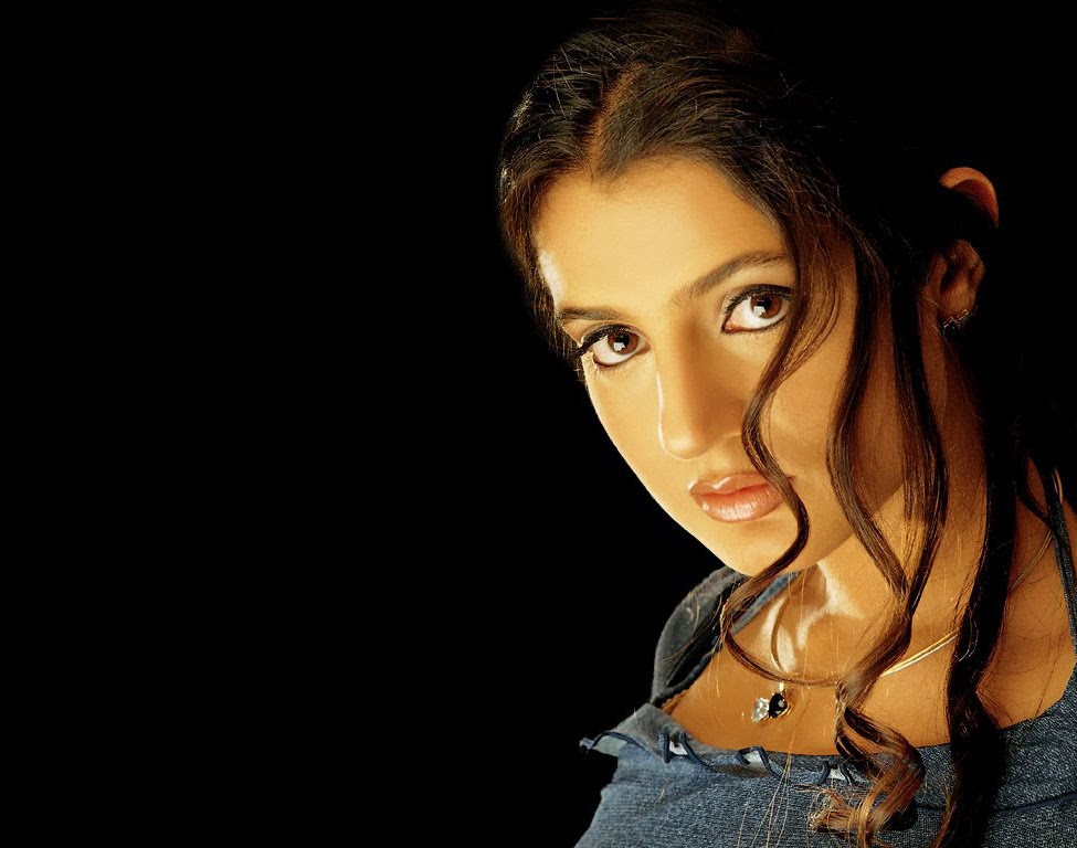 Ameesha Patel Beautiful Hd Wallpapers 2013-14 | World HD Wallpapers