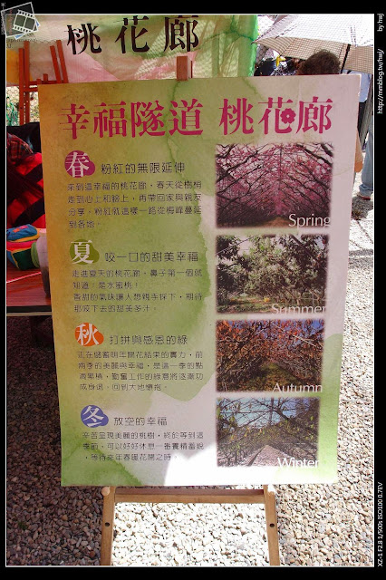 2013-03-23 梅峰農場 春之饗宴 台大森林實驗林_幸福隧道桃花廊，最近最受歡迎的網路照片