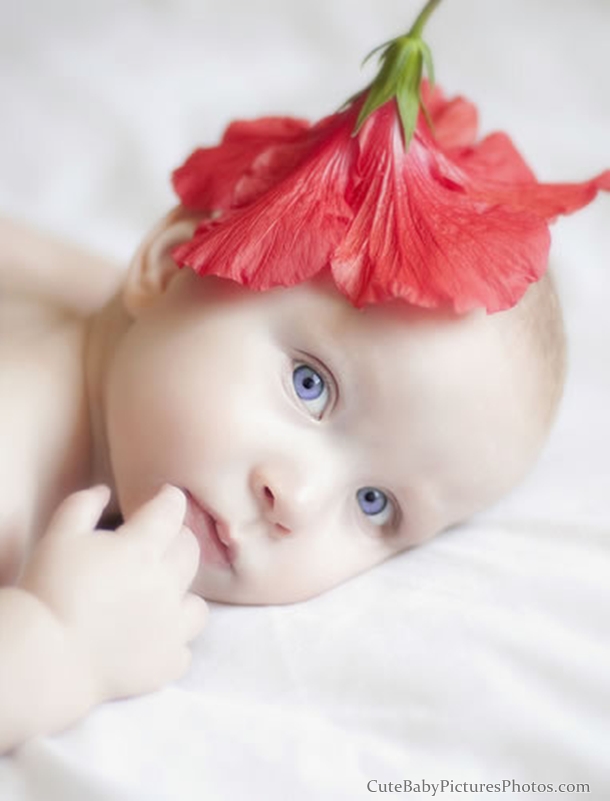 Cute Babies Beautiful Flowers Enter your blog name here