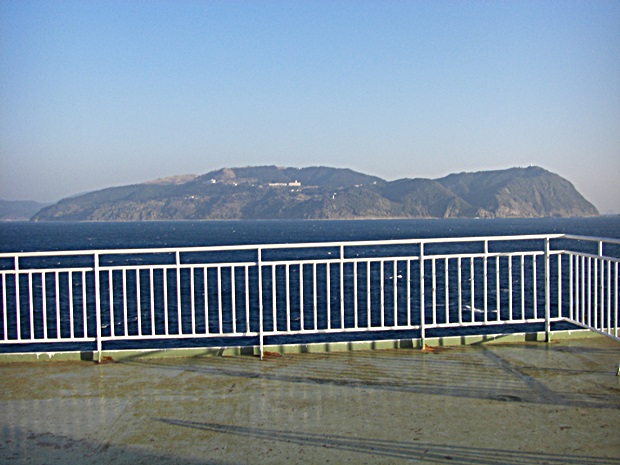 ビタミンEの重要性とそれがどこで入手できるか知っていますか?