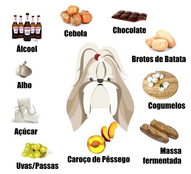 Memorize esses 10 alimentos