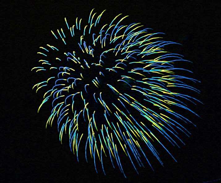 fireworks clipart gif - photo #20