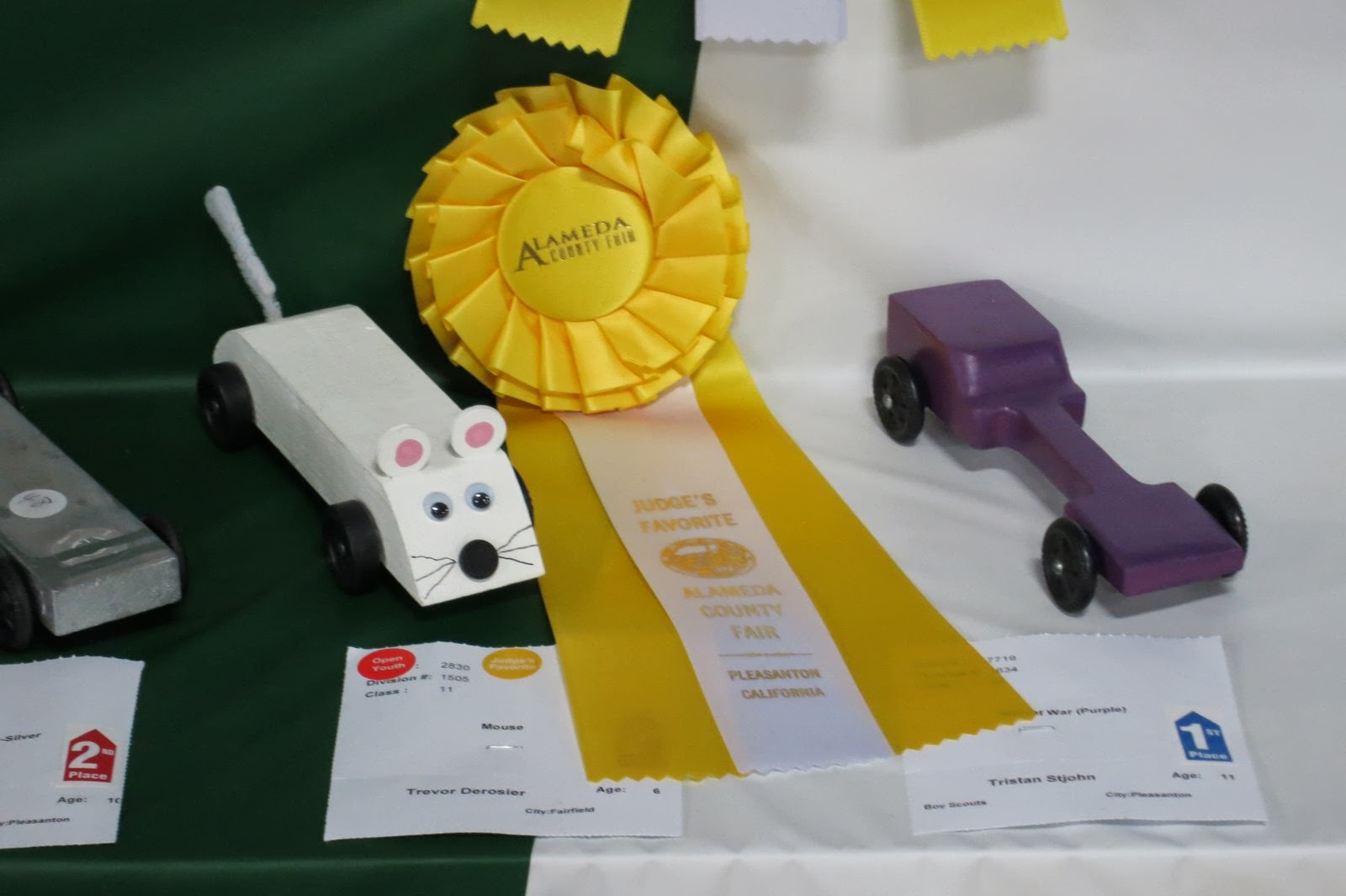 Cindy deRosier: My Creative Life: My first experience with the Pinewood  Derby