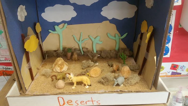 Growing a STEM Classroom: Ecosystem Dioramas