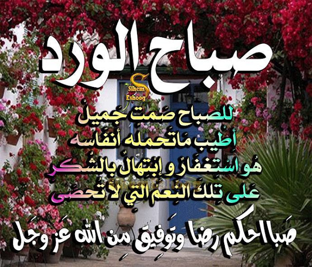 صور دينيه