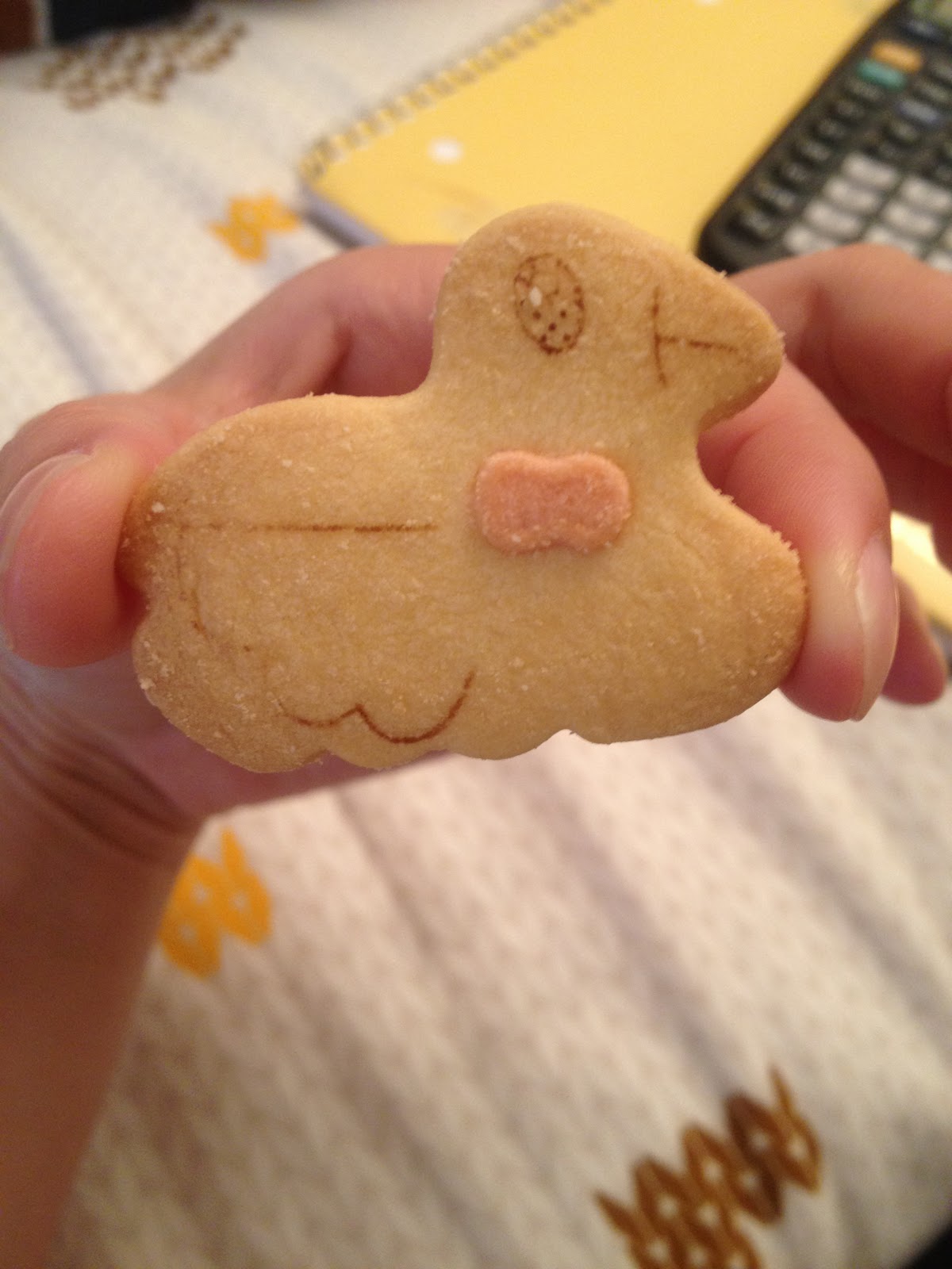 Food Through My Lens Japanese Butter Cookies D