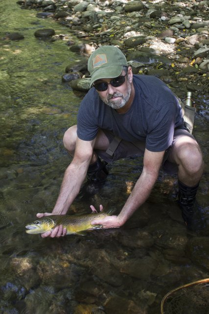 big brown trout in summer in Great Smoky Mountains National Park
