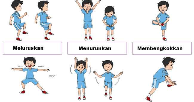 Macam Macam Gerak Otot Pada Manusia