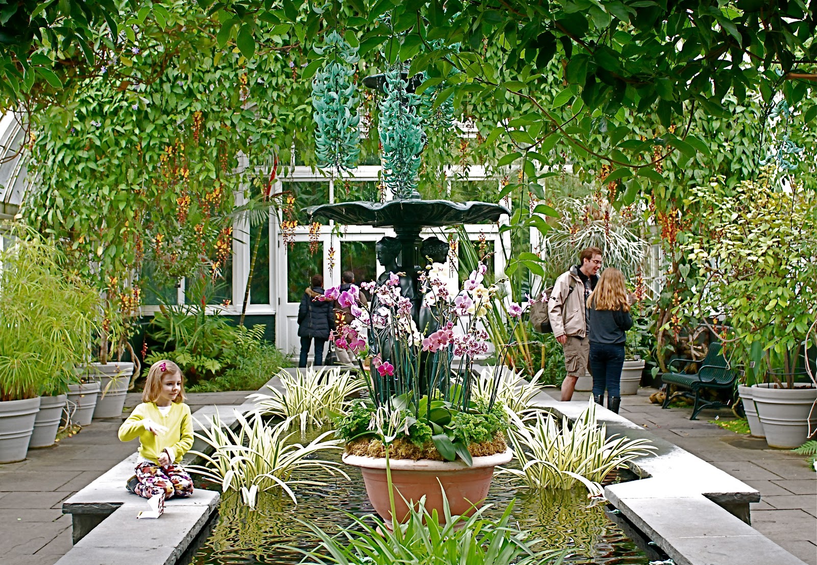NYC ♥ NYC 11th Annual Orchid Show Opens at the New York Botanical