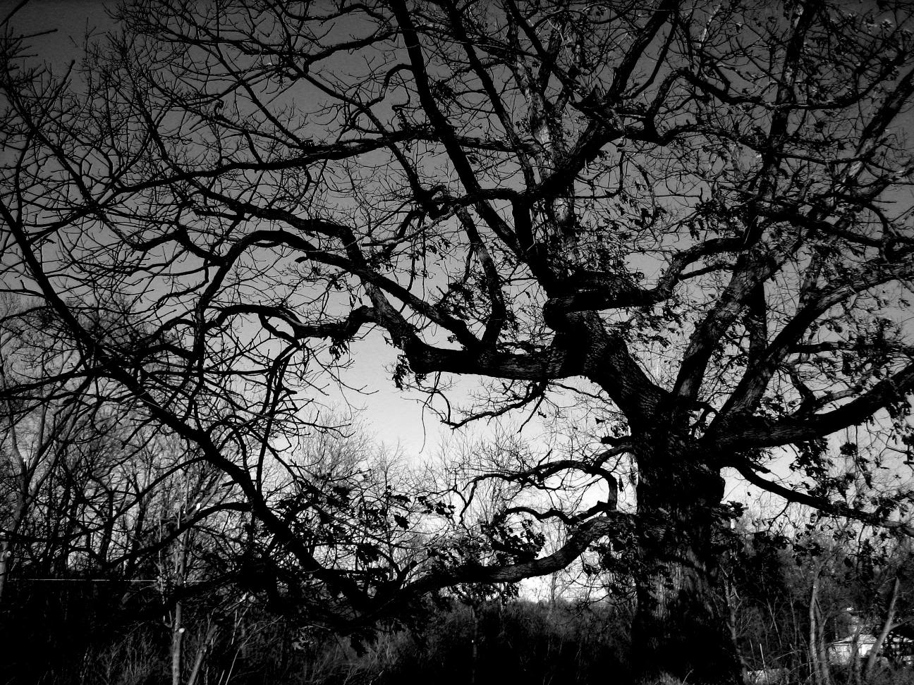 Real Editor Hamza Black And White Background