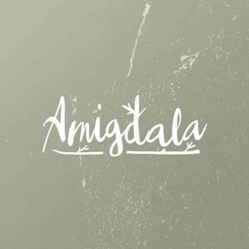 Lirik Amigdala - Lara Bercerita