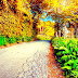 Beautiful Road Background Images