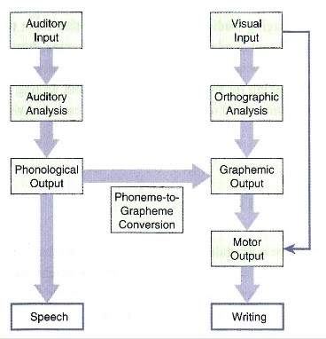 Project Based Learning - Plastic: Relationship between Speech and ...