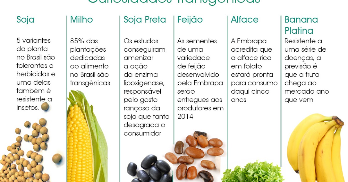 Ética para paz: Estudo conclui que transgênicos são tão saudáveis