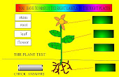 Label the plant
