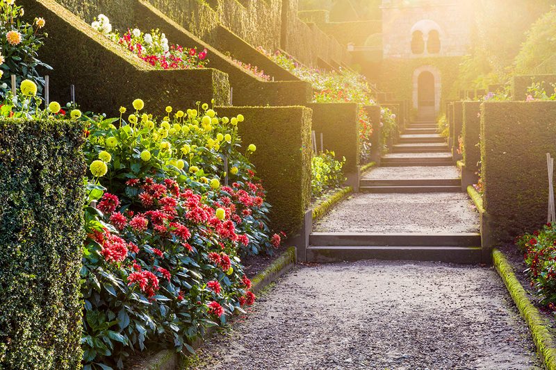 10 (o más) jardines para disfrutar de las dalias