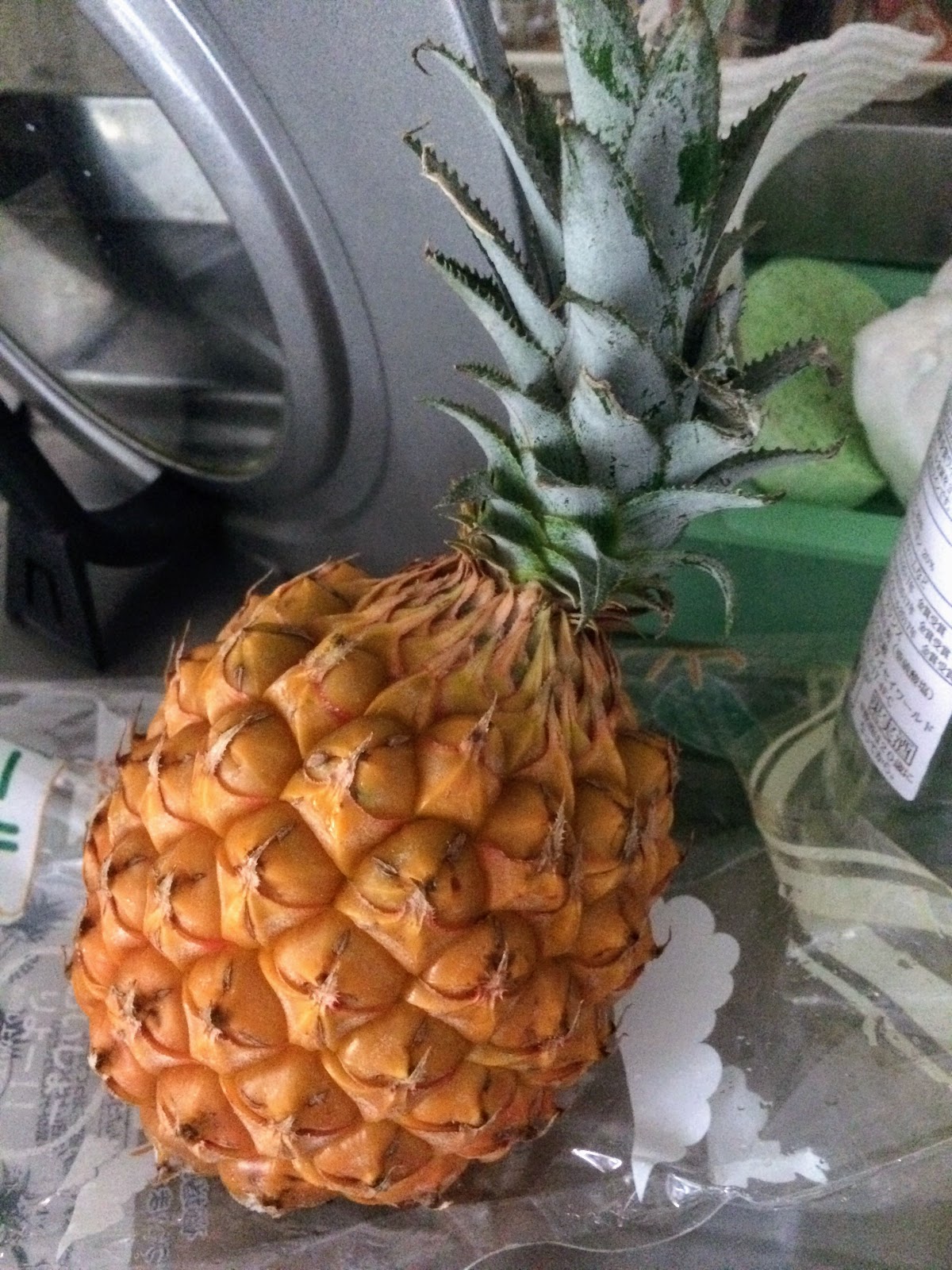 Our Adventures in Japan bogor pineapple