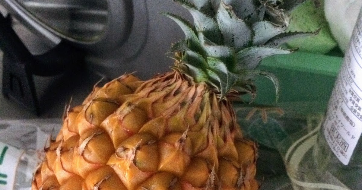 Our Adventures in Japan bogor pineapple