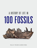 https://pageblackmore.circlesoft.net/products/973086-AHistoryofLifein100Fossils-9781742234663