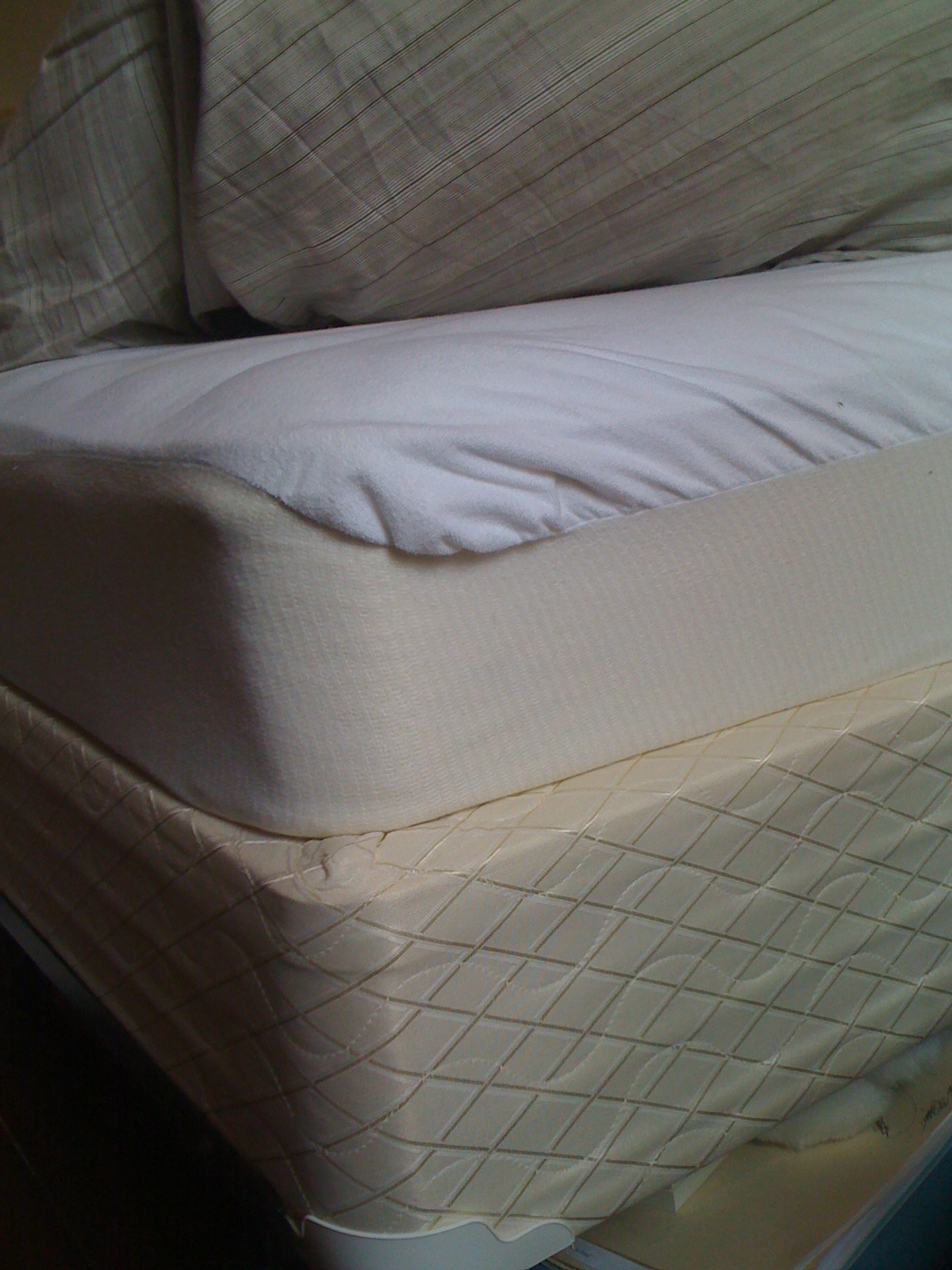 Ditmas Park Listings: Full size mattress, box spring & bed frame - $100