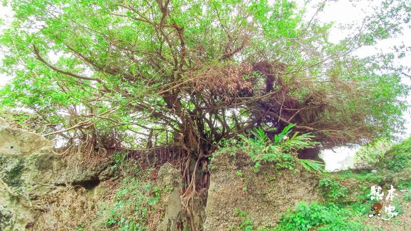 小琉球美人洞第2遊覽區|海上樂園、麗池、怡然園、一線天、迷人陣