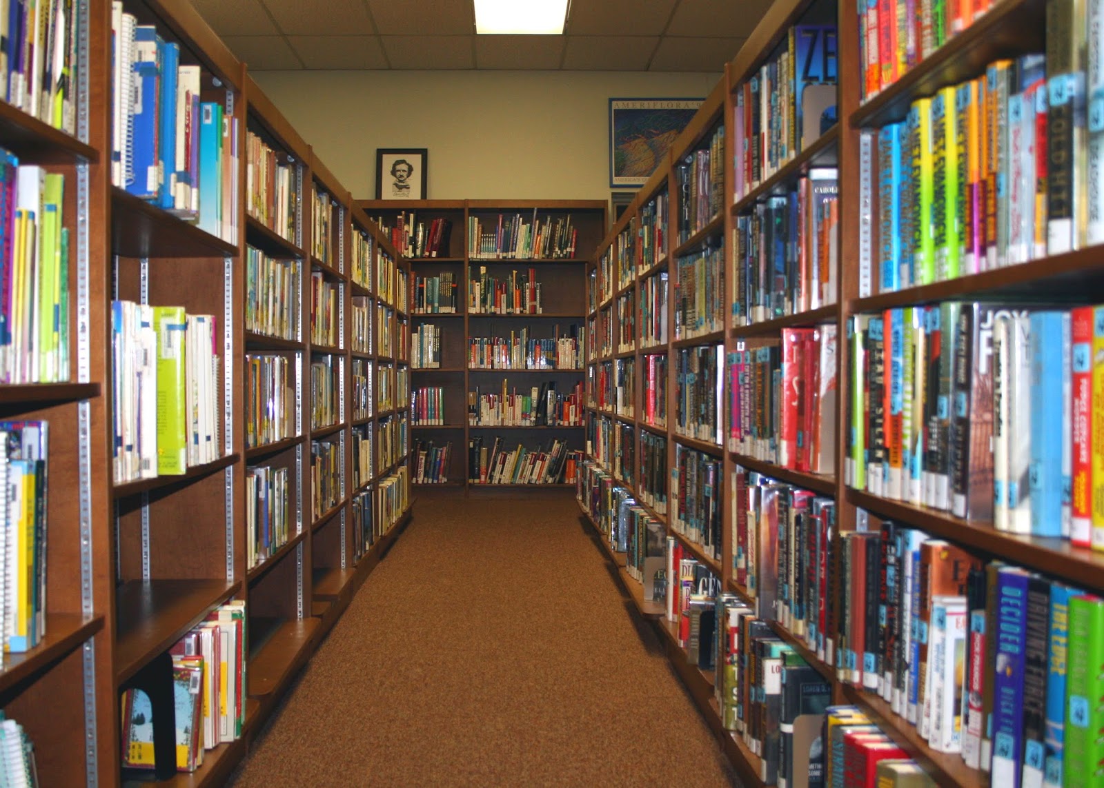 Библиотека в жизни человека. Book - салон. Книжный салон "дом Крылова". Книжный салон фото. Библиотека как бизнес.