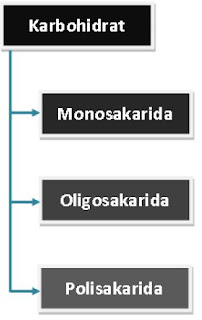 Klasifikasi Karbohidrat Klasifikasi Karbohidrat