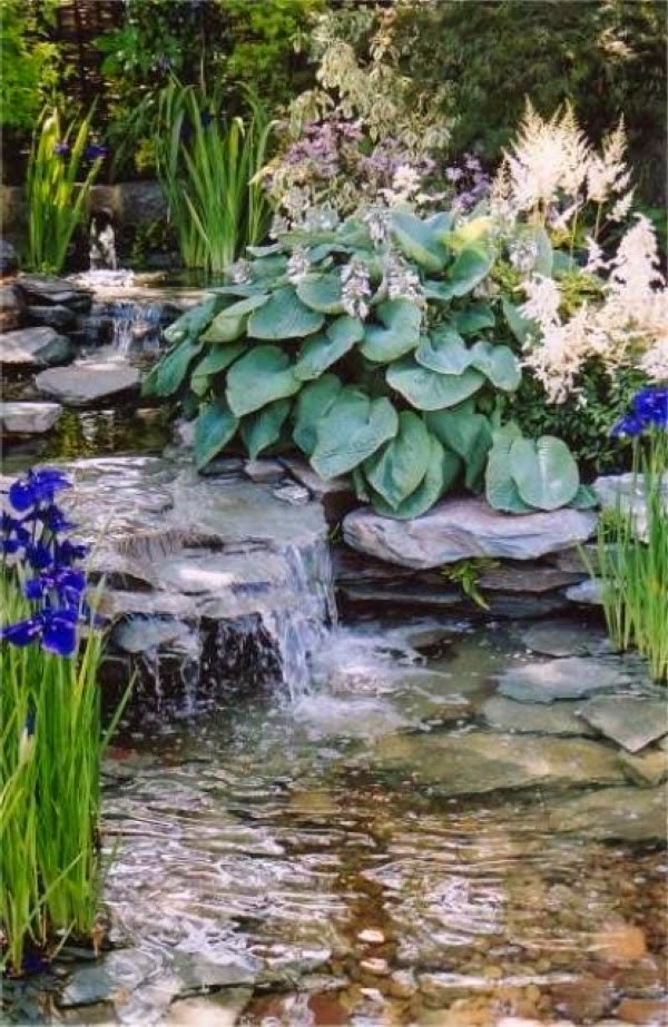 A relaxing garden and backyard waterfalls