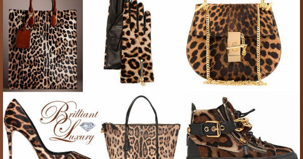 Brilliant Luxury: ♦All Things Leopard