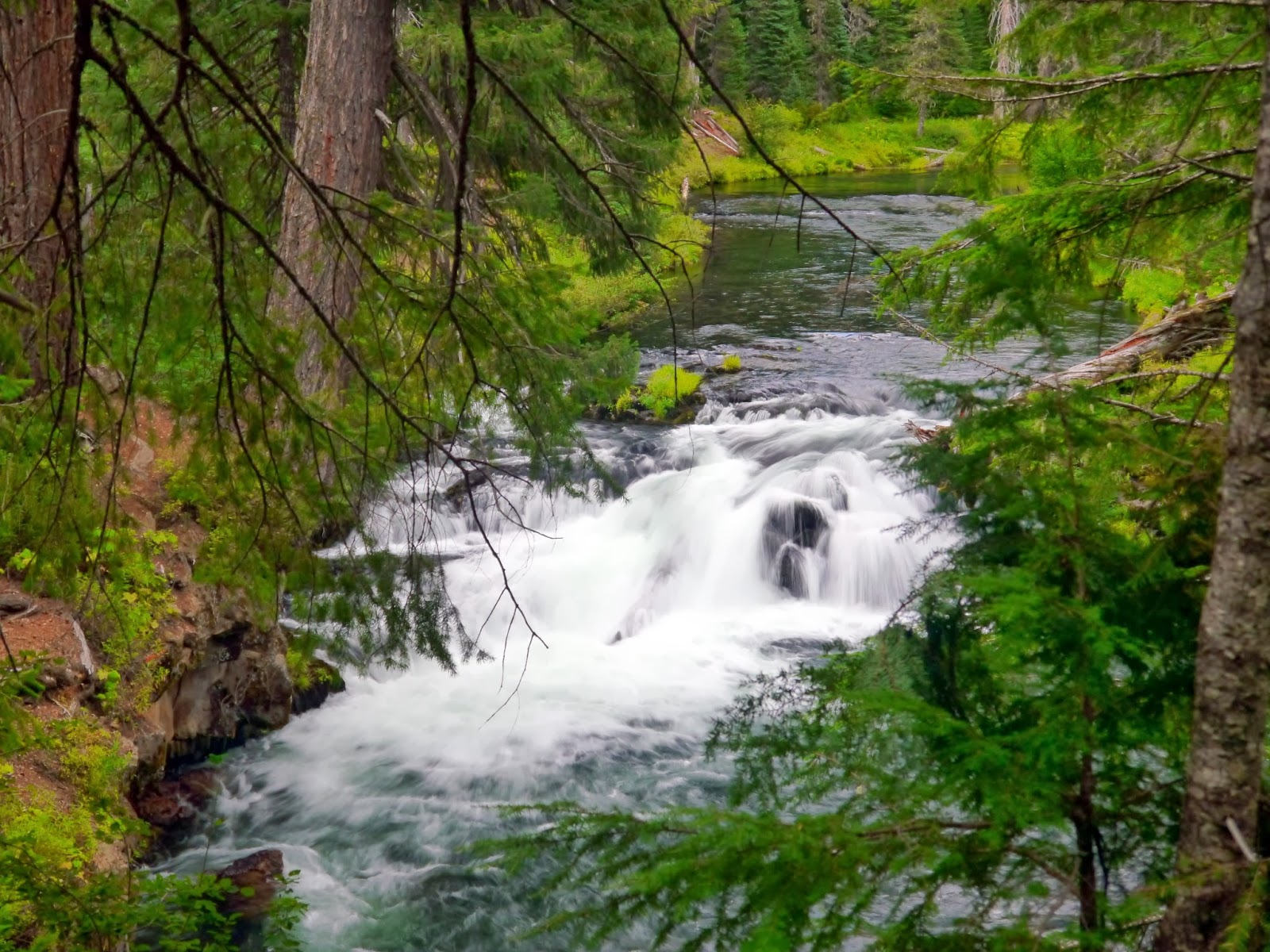 American Travel Journal Upper Rogue River and National Wild