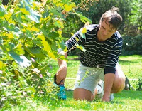 link-e-guide-giardinaggio-per-principianti link-e-guide-giardinaggio-per-principianti