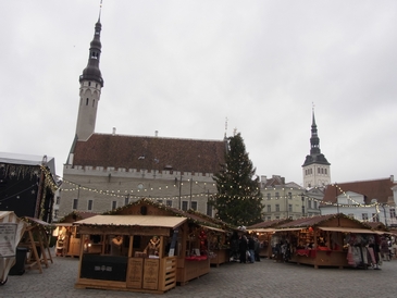Día 8: Tallin. - Navidades en el Báltico (46)
