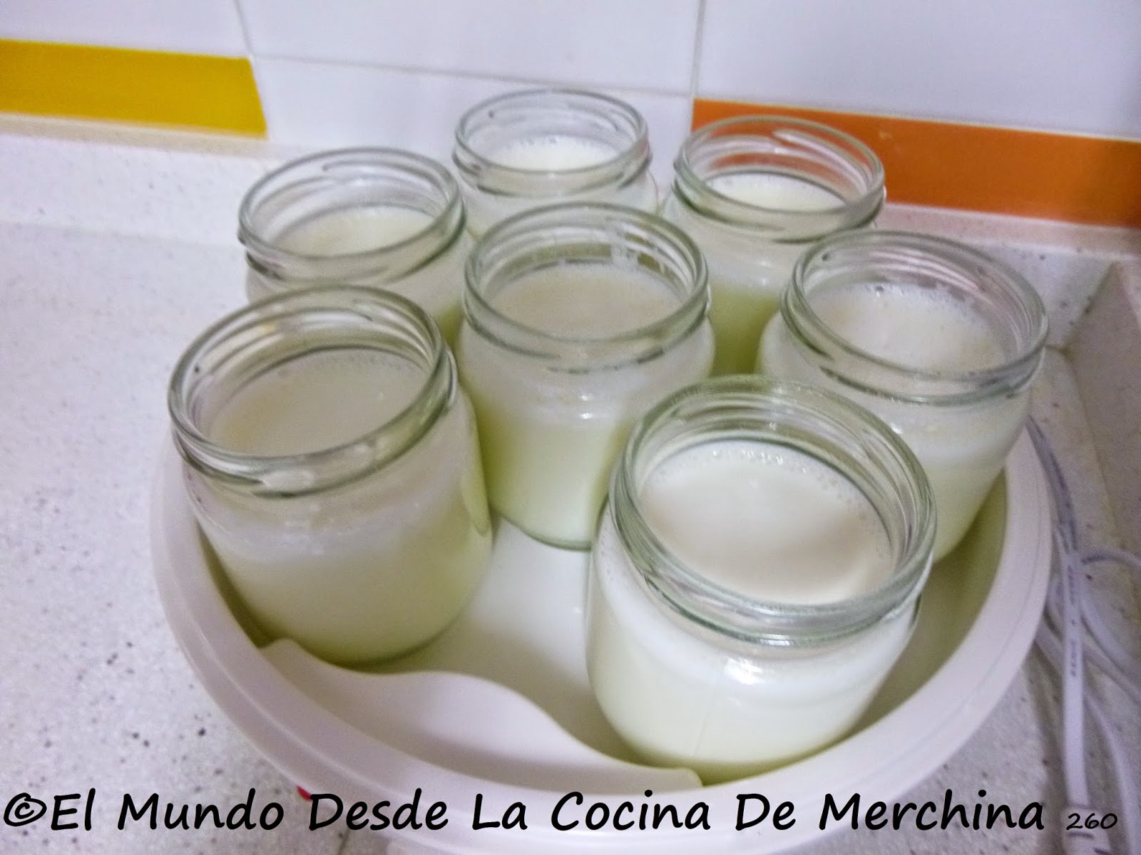 El Mundo Desde La Cocina De Merchina YOGURT DE YOGURTERA.