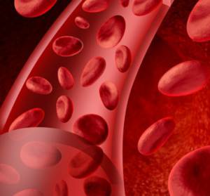 Alimentos-que-purificam-o-sangue